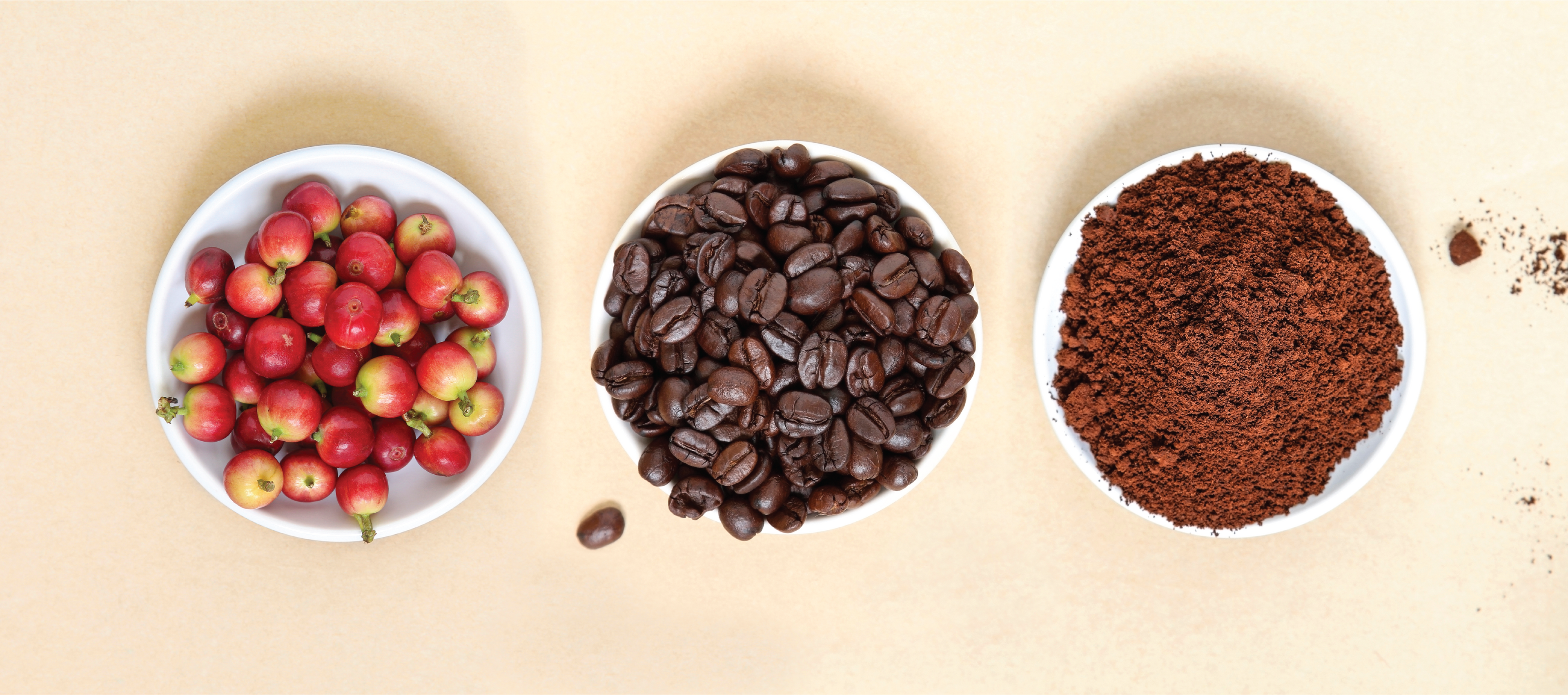 Three bowls with red apples, coffee beans, and ground coffee on a beige background