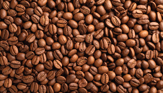 Signature Medium Roast